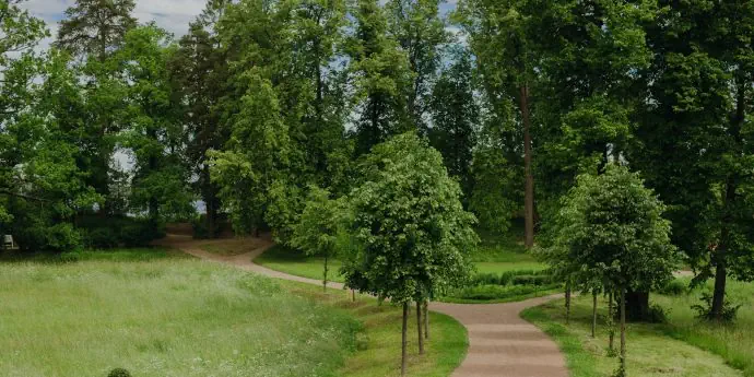 Экскурсия в Выборг по Королевской дороге
