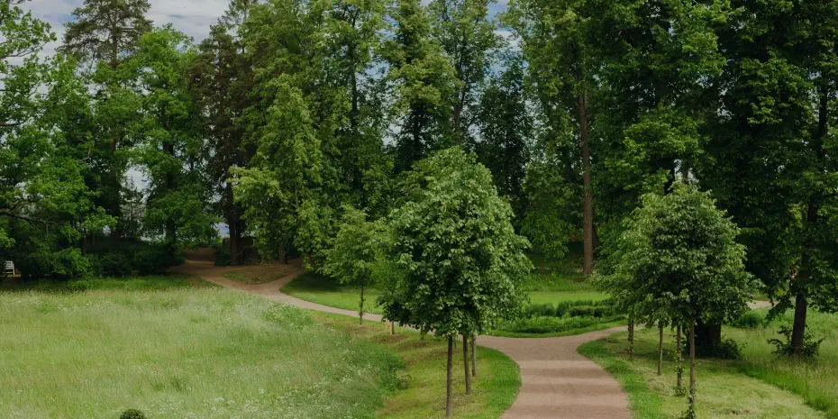 Экскурсия в Выборг по Королевской дороге