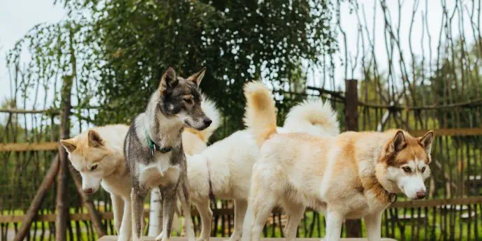 Карельские выходные 2. Рускеала и Сортавала