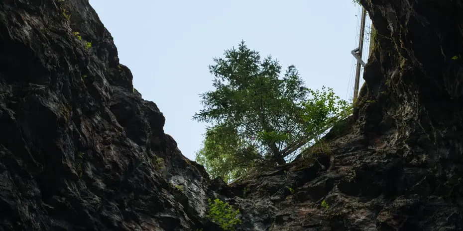 2 в 1: Петербург и 10 чудес Карелии (лето)