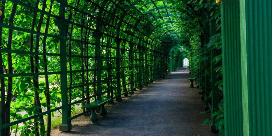 2 в 1: Петербург, Рускеала, Кижи, Валаам
