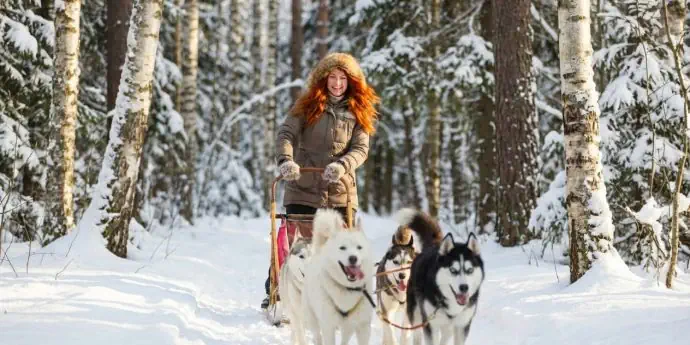 На Русском Севере сбываются желания! Новый год в Карелии