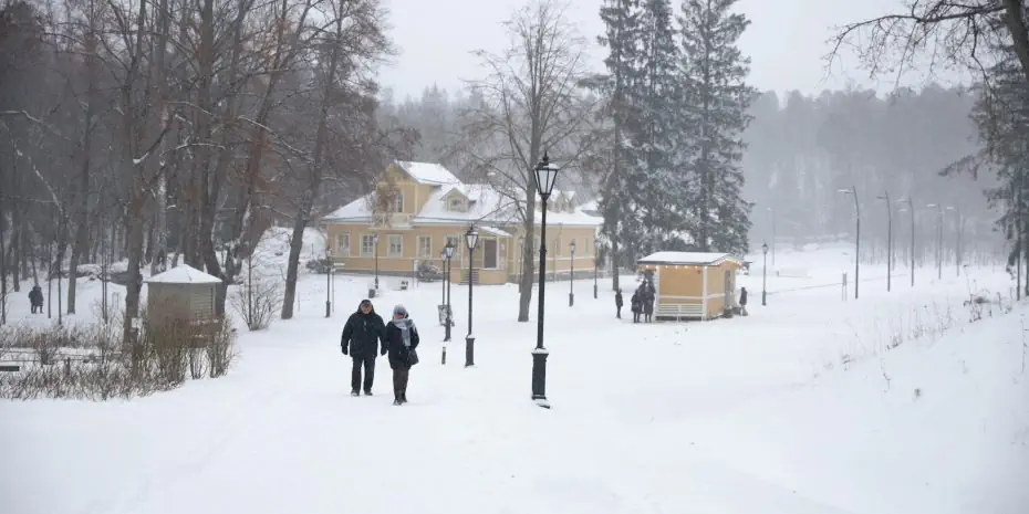 Экскурсия в Выборг по Королевской дороге
