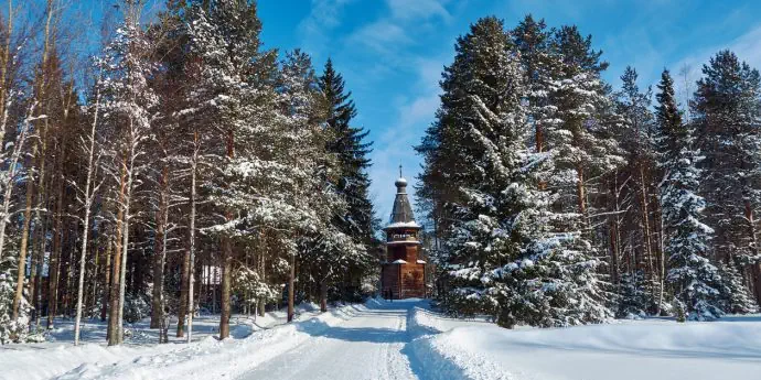 Зимняя сказка в Архангельской области