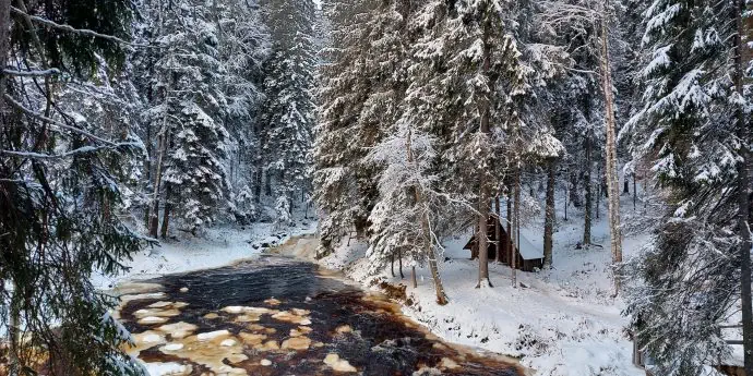 Новогодняя сказка в «Рускеала»