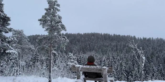 Карельские пейзажи на Ретропоезде 2: Рускеала, водопады (на Ласточке из Петербурга)