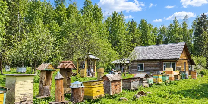 10 чудес Псковской земли